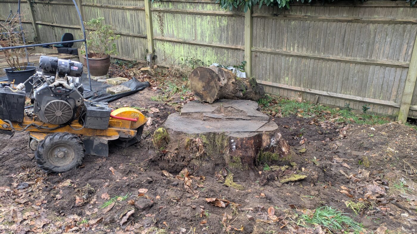 stump grinding guildford