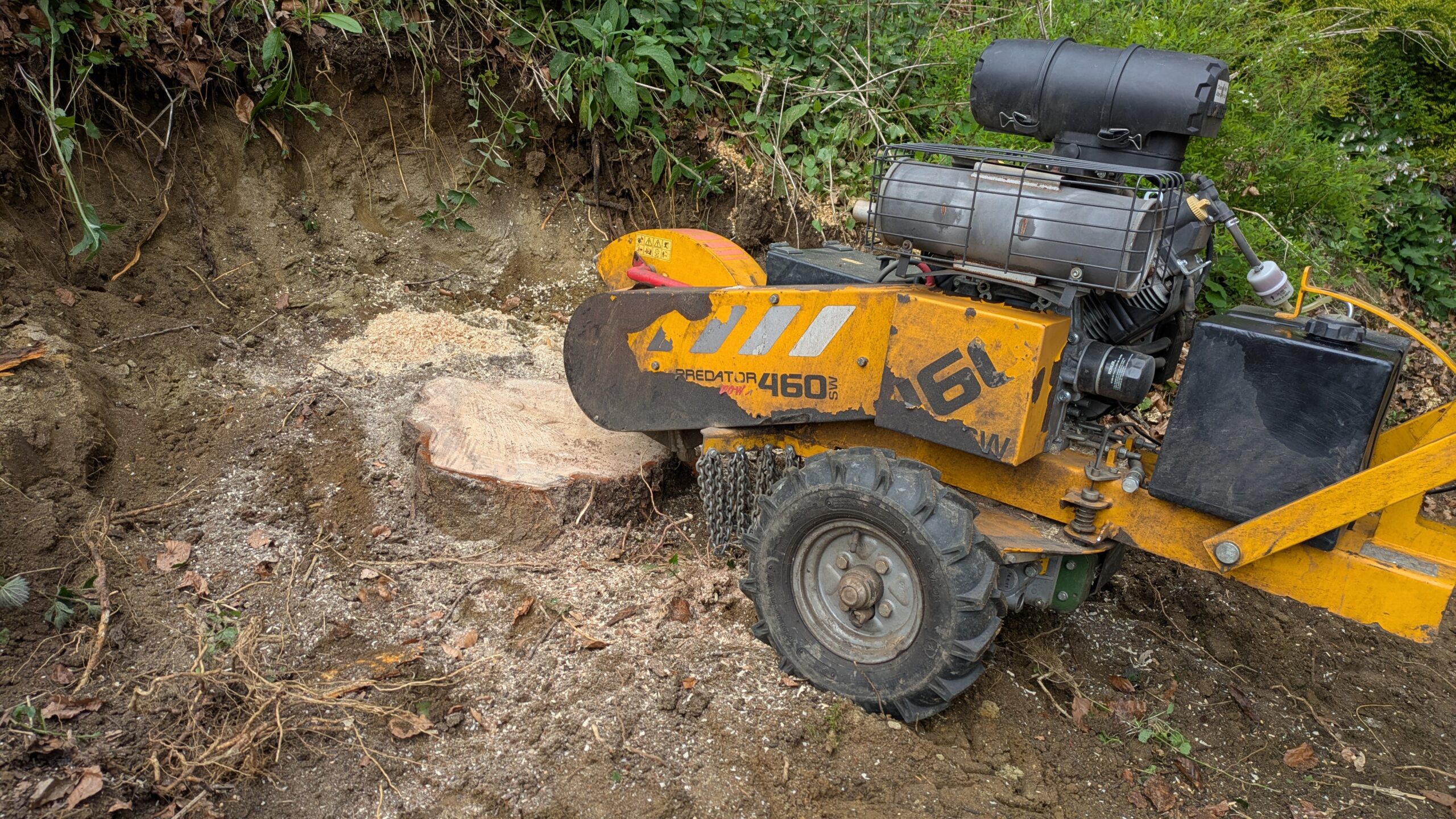 stump grinding haslemere